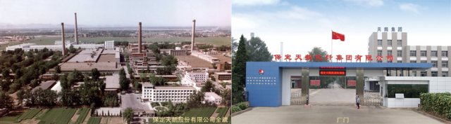 U . 河北保定天鵝股份